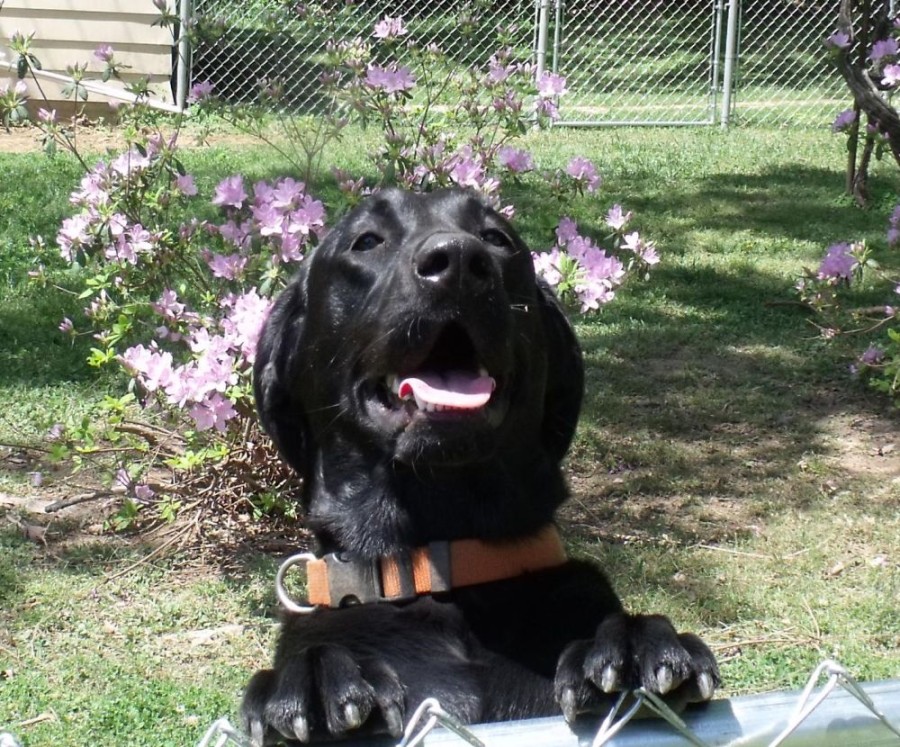 abbie8.jpg