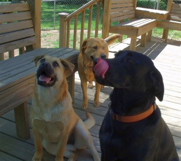 allthree.jpg
